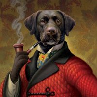 StanTheTradingMan (@stantradingman) 's Twitter Profile