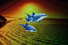 DCarroll212's profile picture. Illustration and Design consulting. The uneducated mind is a dull one so live and learn all you can everyday!Animal lover..