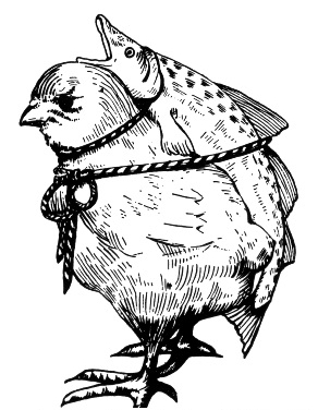 truthcultrec's profile picture. Fiercely independent music.