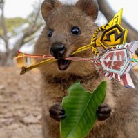 M8 SwizzY281 (@swizzy281) 's Twitter Profile