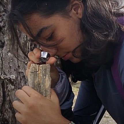 Pésima botánica l
Orchidiot l
 Intento de anatomista de maderas (con suerte) I ¿Alguien quiere pensar en las palmas? I Algún día (espero) paleobotánica.