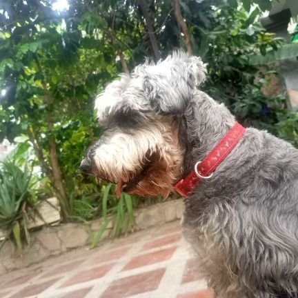 GenaroLopezMai1's profile picture. 