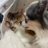 hinako12231106's profile image