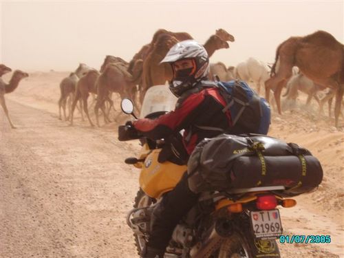 Tozegs's profile picture. A vida é uma viagem, sabemos quando começou mas ignoramos o fim.