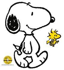 40 #Follower, MP-er, TV, Film, Humor, 4 Cats & 1 Doggy, No kids, Walking etc etc.