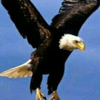 Samco Deal (@omokafesamc) 's Twitter Profile