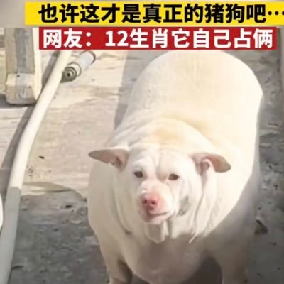 Runitback43's profile picture. 