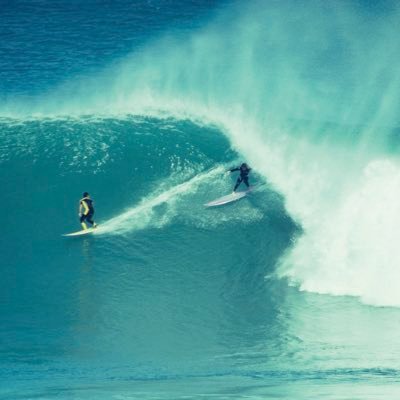 Sharkindaawater's profile picture. 