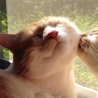 user23829428's profile picture. 