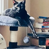 Book Dragon Jen (@nj_bookworm) 's Twitter Profile