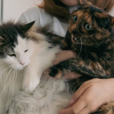 tsukunechef's profile picture. 東京都在住。編集者。猫のつくねとシェフをこよなく愛しています。 毛の生えた動物(鳥は苦手)とお笑いと人とお酒を飲む時間が好きです。自己肯定感高め。特技は猫探し。
