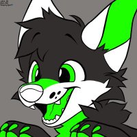Karma (@karmasfoxthing) 's Twitter Profile