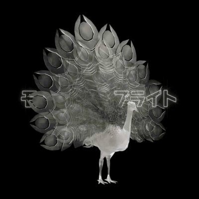 oatmeal4_gBL's profile picture. Our poor jack knife he please if you.