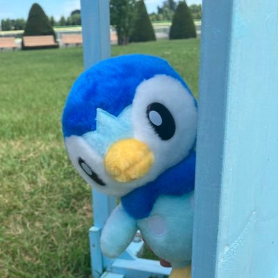 southtomaty's profile picture. 来世は水族館でお散歩してるだけのペンギンになりたい