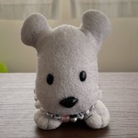 ポチを (@pochiobesty) 's Twitter Profile