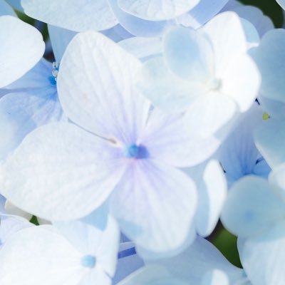 zuborachandiet's profile picture. ずぼら、飽き性、 3日坊主なママ。もう少し頑張って生きていく。