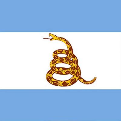 🇦🇷 Liberal