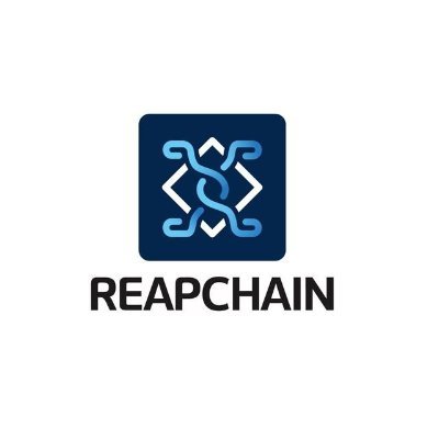 서비스형 메인넷 프로젝트 ReapChain