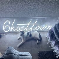 6HOST (@6hosttown) 's Twitter Profile