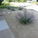 Denise Brackett - @DeniseBrac9494 - Twitter