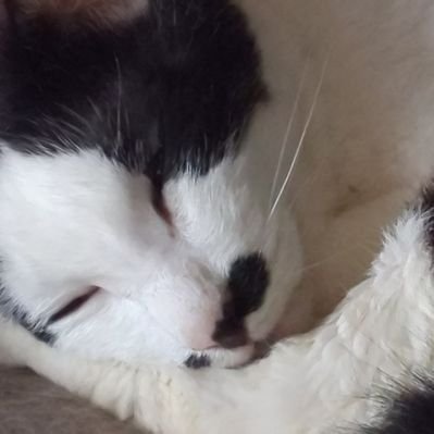 yanyayanyato's profile picture. 