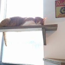 suga65522200's profile picture. 