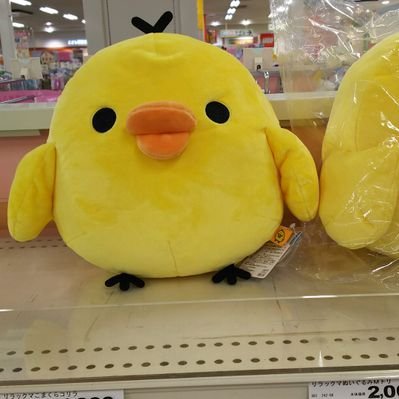 sui38352920's profile picture. 