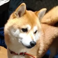 kotaro (@kotaro45750656) Twitter profile photo