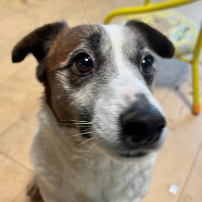 nhas322's profile picture. 飲食店で働いてます。趣味はカメラで📷で写真撮ったりバイクに🛵乗ってます。副業禁止なのでそういうのは送らないでください。無言フォローしてしまいますがよろしくお願いします。