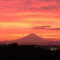 ジェニ (@gonbe5) 's Twitter Profile Photo ジェニ (@gonbe5) 's Twitter Profile Photo