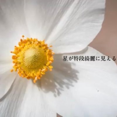 MZDAO初期メンバーです。MZ(前澤友作さん)、MZDAOメンバーたちと一緒に盛り上げていきたいです。いま自分ができることを探し、少しでも貢献できるよう頑張ります。ちなみにTwitterはほぼ初心者です💦よろしければ相互フォローお願いいたします!無言フォロー大歓迎! MZDAOマイページはこちら↓↓↓