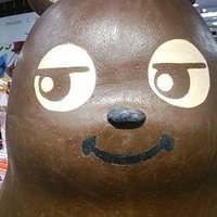 さわ (@c_o_c_o_n_u_t11) 's Twitter Profile Photo