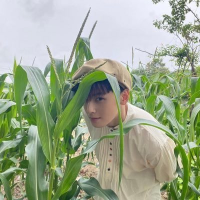 mさんのプロフィール画像