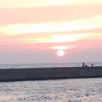 桜花 (@kasumiuduki) 's Twitter Profile Photo