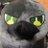 DVLT0013's profile image