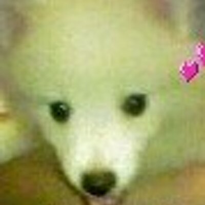 ikukokiyo's profile picture. 