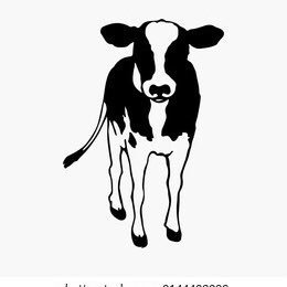 noricenolife5's profile picture. 