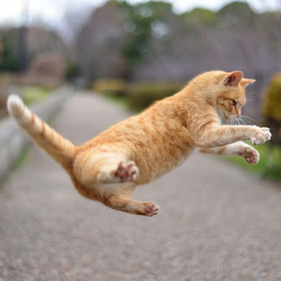 uchi987's profile picture. 記事を見たり、他の方のツイートを読んだりして、思いついたことを書いています。理系人間(博士(工学))ですが、政治や経済の話題が多いです。理系なので理屈ぽいかも。なお詳しい自己紹介はなしです。我愛台湾