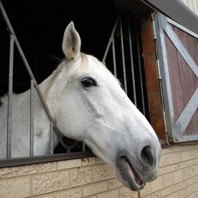 chime_sana's profile picture. 馬が好き/故郷北木島&京都/ｴﾘｻﾞﾍﾞｰﾄ/悪路/CLUB SEVEN/TDV/RENT/ﾙﾄﾞﾙﾌ/R&J/1789 
宝塚❄朝美絢  ⭐️天飛華音/柚香光 和希そら 野々花ひまり 久城あす