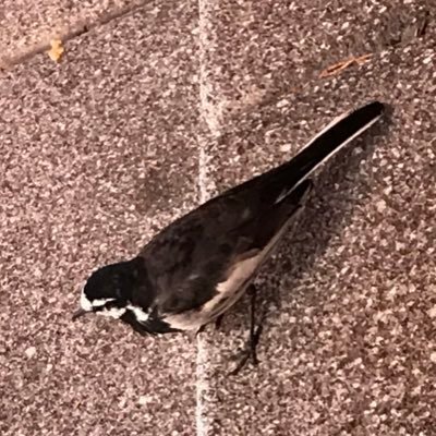 まいむんさんのプロフィール画像