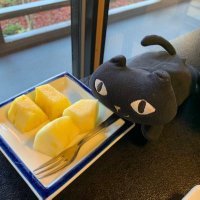 もちぴょん (@mochipyon) 's Twitter Profile Photo