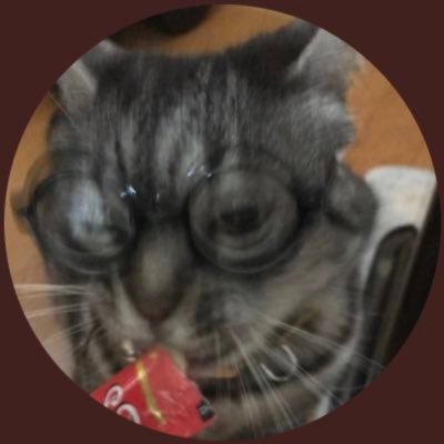 こがわさんのプロフィール画像