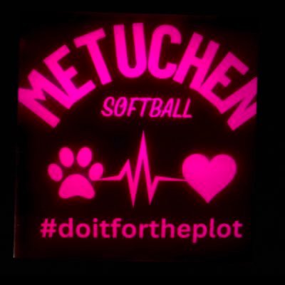 The Official Twitter Account for Metuchen HS Softball! #MetuchenSoftball 🐾🥎🩵