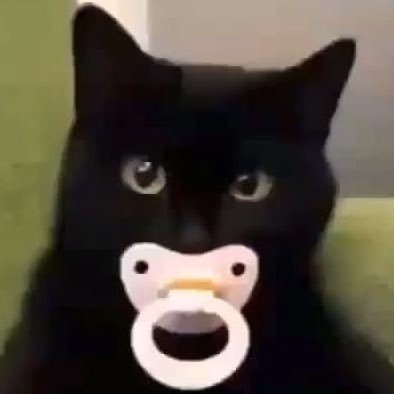 succhilde's profile picture. i am bound by nothing