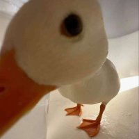 torry2 (@torry2_) 's Twitter Profile Photo torry2 (@torry2_) 's Twitter Profile Photo