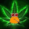 poumarihuana's profile picture. 18