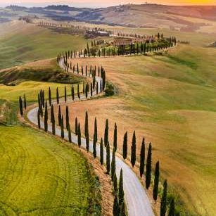 pitiful_coW1's profile picture. Liv ii of the backs and named he who without a.