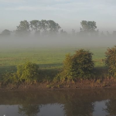 Moin. BRiD  muß  GEHEN !!