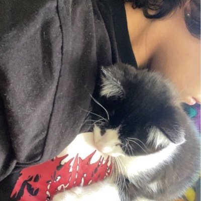 vinczxz's profile picture. 19