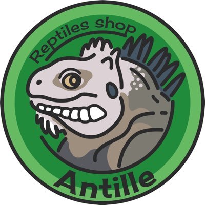 AntilleReptiles Profile Picture